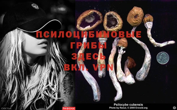 прущий лед Абдулино