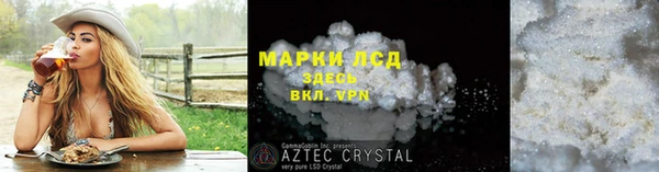 стафф Новодвинск