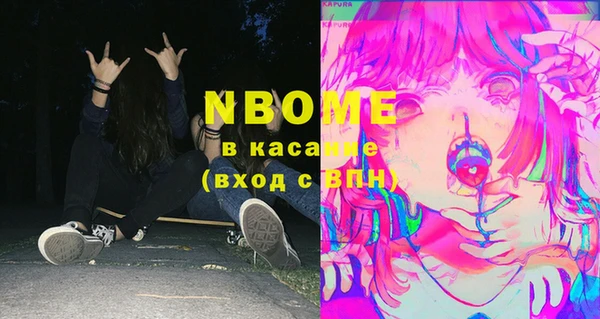 стафф Новодвинск
